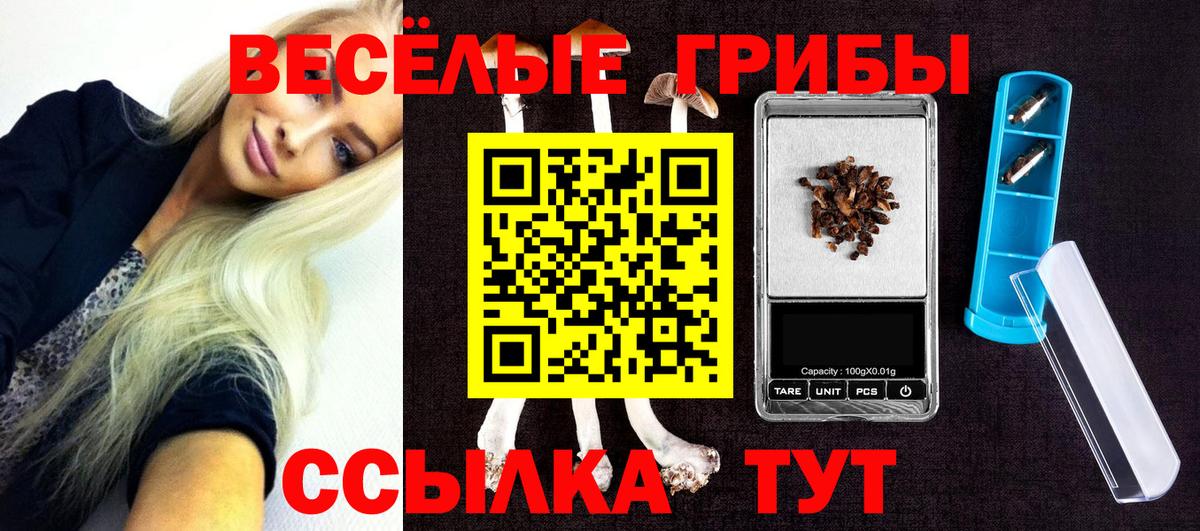 Галлюциногенные грибы MAGIC MUSHROOMS  Вход с VPN  Псилоцибиновые грибы прущие грибы  Нягань 